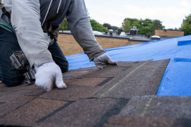 Best Metal Roofing Contractor  in East Tawas, MI